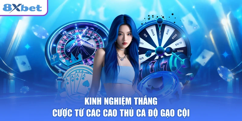 Kinh nghiệm thắng cược từ các cao thủ cá độ gạo cội
